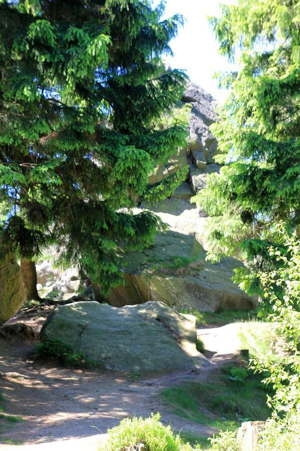 Апартаменты An Der Bremke Херцберг-ам-Гарц Экстерьер фото